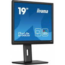 Monitor iiyama  B1980S-B1