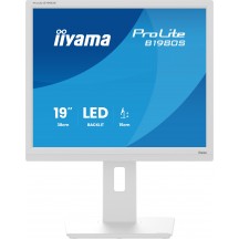 Monitor iiyama  B1980S-W1
