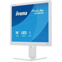 Monitor iiyama  B1980S-W1