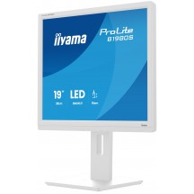 Monitor iiyama  B1980S-W1