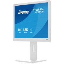 Monitor iiyama  B1980S-W1