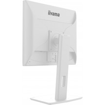 Monitor iiyama  B1980S-W1