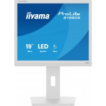 Monitor iiyama  B1980S-W1