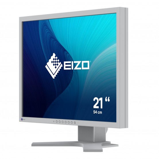 Monitor Eizo  S2134-GY