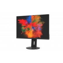 Monitor Fujitsu B2410 WS S26361-K1697-V160
