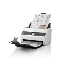 Scanner Epson WorkForce DS-730N B11B259401