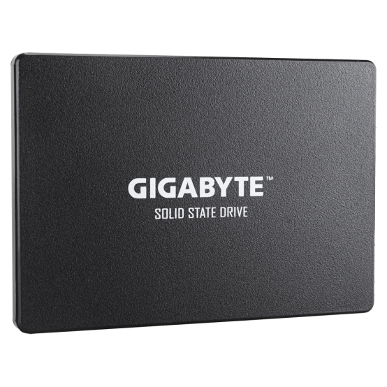 SSD GigaByte GP-GSTFS31100TNTD