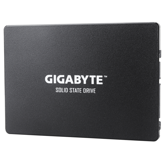 SSD GigaByte GP-GSTFS31100TNTD