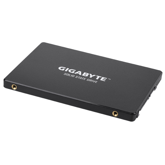 SSD GigaByte GP-GSTFS31100TNTD