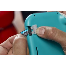 Card memorie Kingston Canvas Go! Plus microSDXC SDCG4/1TB