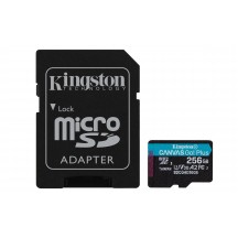 Card memorie Kingston Canvas Go! Plus microSDXC SDCG4/256GB