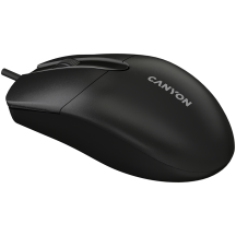 Mouse Canyon  CNE-CMS5