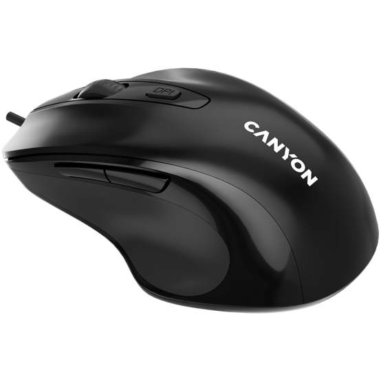 Mouse Canyon  CNE-CMS6