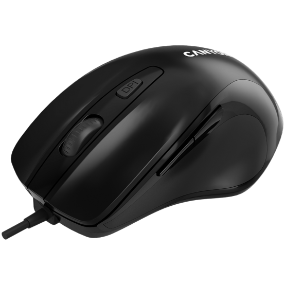 Mouse Canyon  CNE-CMS6