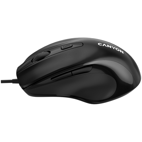 Mouse Canyon  CNE-CMS6