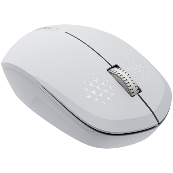Mouse Canyon  CNS-CMSW04W