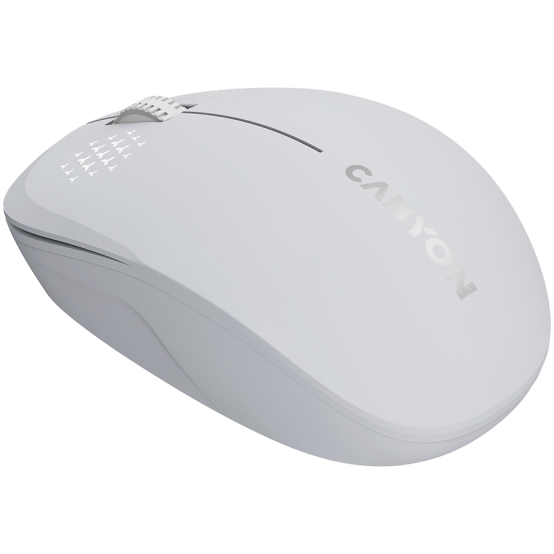 Mouse Canyon  CNS-CMSW04W