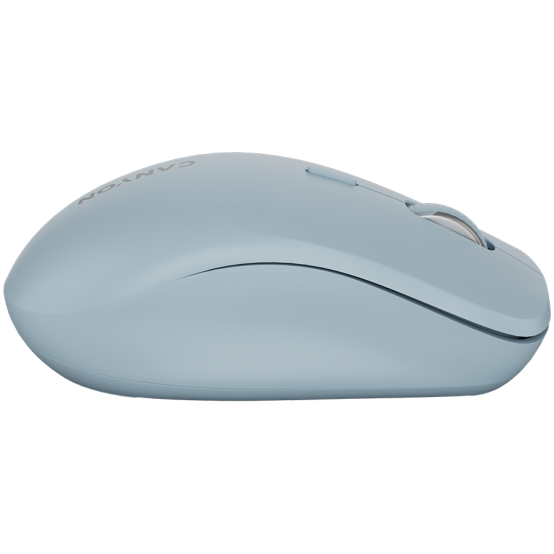 Mouse Canyon  CNS-CMSW12BL