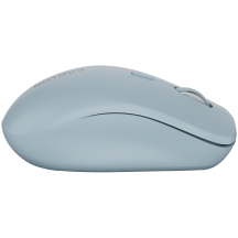 Mouse Canyon  CNS-CMSW12BL