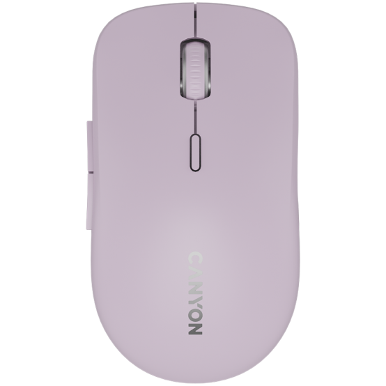 Mouse Canyon  CNS-CMSW12P