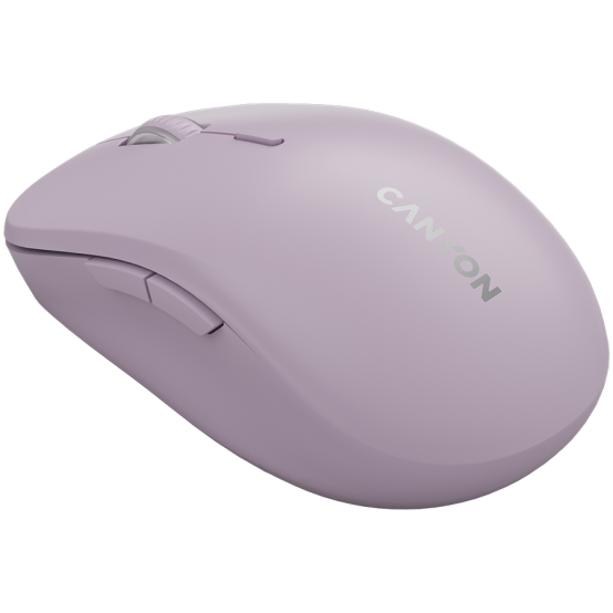 Mouse Canyon  CNS-CMSW12P