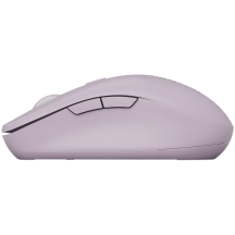 Mouse Canyon  CNS-CMSW12P