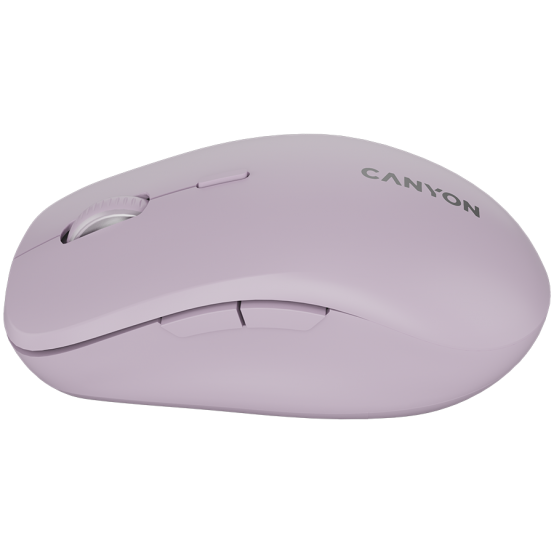 Mouse Canyon  CNS-CMSW12P