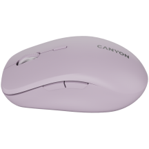 Mouse Canyon  CNS-CMSW12P