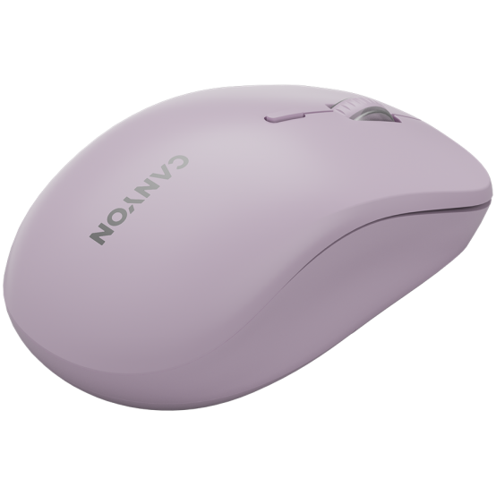 Mouse Canyon  CNS-CMSW12P