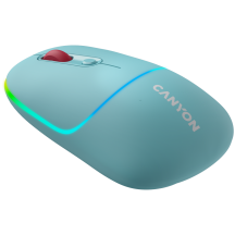 Mouse Canyon  CNS-CMSW22DC