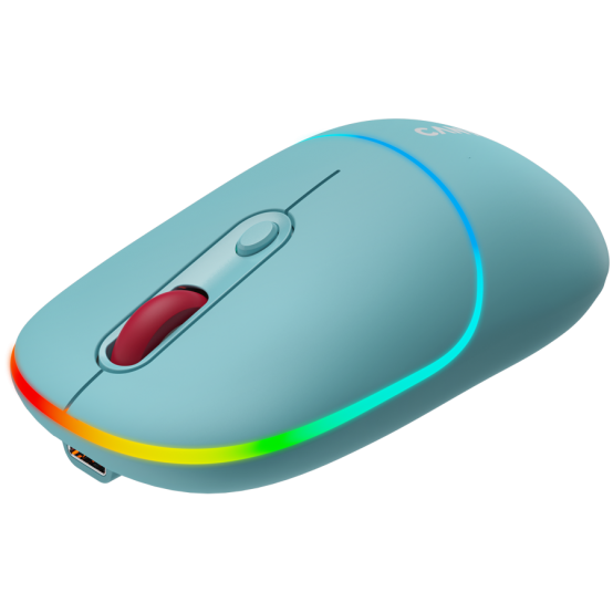 Mouse Canyon  CNS-CMSW22DC