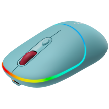 Mouse Canyon  CNS-CMSW22DC
