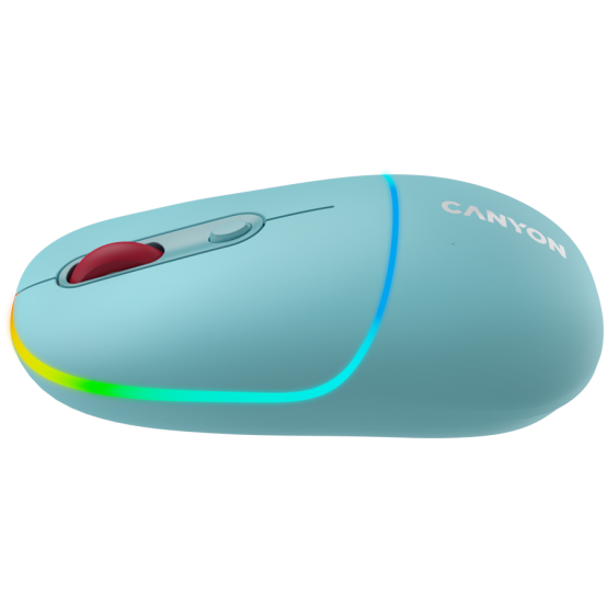 Mouse Canyon  CNS-CMSW22DC