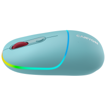 Mouse Canyon  CNS-CMSW22DC