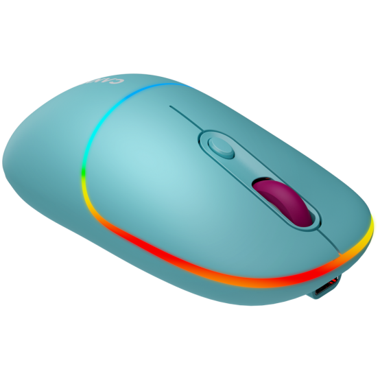Mouse Canyon  CNS-CMSW22DC