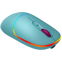 Mouse Canyon  CNS-CMSW22DC