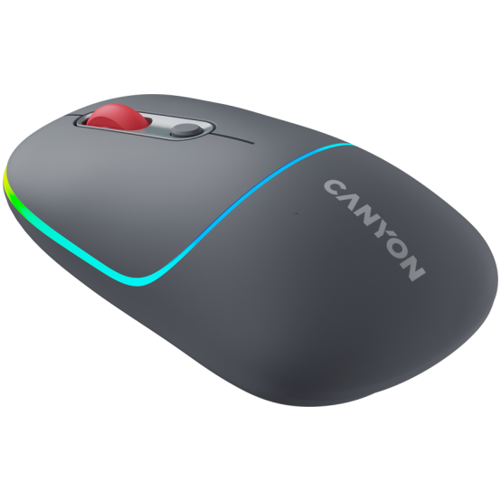 Mouse Canyon  CNS-CMSW22DG