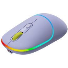 Mouse Canyon  CNS-CMSW22ML