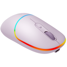 Mouse Canyon  CNS-CMSW22PR