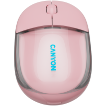 Mouse Canyon  CNS-CMSW24P