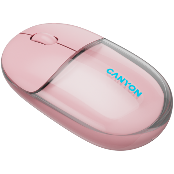 Mouse Canyon  CNS-CMSW24P