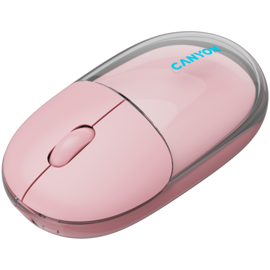 Mouse Canyon  CNS-CMSW24P