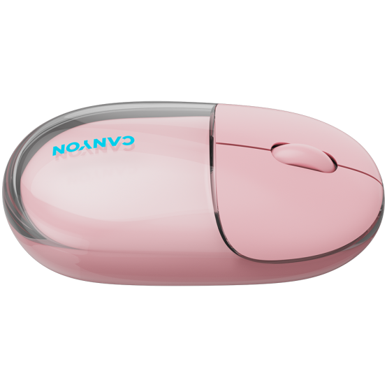 Mouse Canyon  CNS-CMSW24P