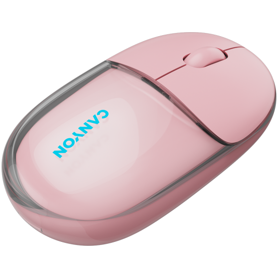 Mouse Canyon  CNS-CMSW24P