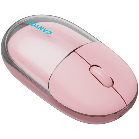 Mouse Canyon  CNS-CMSW24P