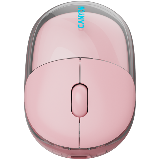 Mouse Canyon  CNS-CMSW24P