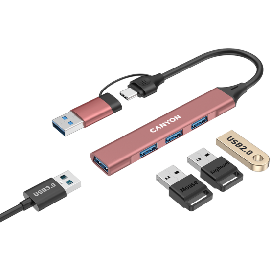 Hub Canyon  CNS-TDS02P