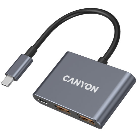 Hub Canyon  CNS-TDS3
