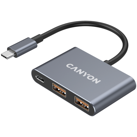 Hub Canyon  CNS-TDS3