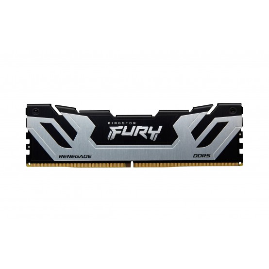 Memorie Kingston FURY Renegade Silver KF588CU42RS-24